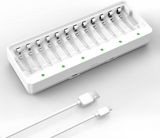 DLYFULL 12-Fach Akku Ladegerät für AA AAA Ni-MH Ni-CD Batterien mit Typ-C & Micro-USB, LED-Anzeige & Mehrfachschutz (2021)
